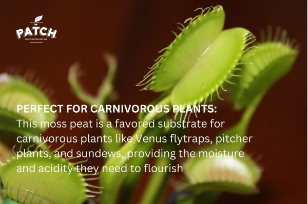 Irish Moss Peat for carnivorous plants