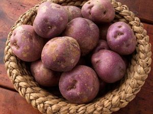 Arran Victory Seed Potatoes In Basket