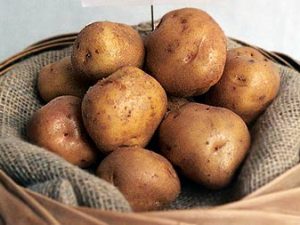 British Queen Seed Potatoes in sack