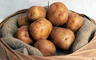 British Queen Seed Potatoes in sack