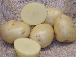 Sharpe’s Express Seed Potatoes