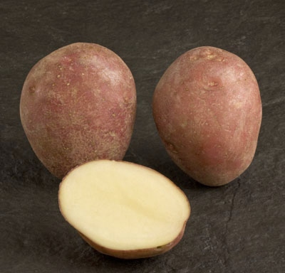 Paramount Seed Potatoes