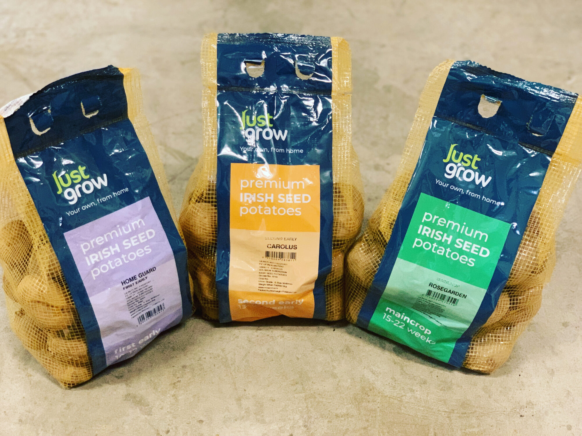 Seed Potato Gift Selection Pack – 36 Premium Irish Tuber Mix (1st Early, 2nd Early & Maincrop)
