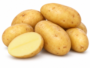 Alanis Seed Potatoes