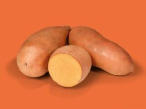 Bellevue - Sweet Potato Plugs x 6 Pack