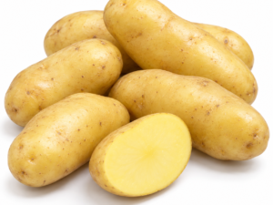 BF15 seed potatoes