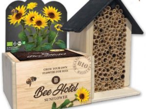 Bee Hotel