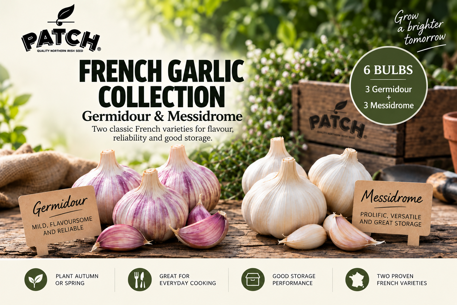 French Garlic Collection – Germidour & Messidrome – 6 Bulbs