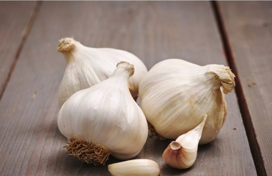 GARLIC MESSIDROME