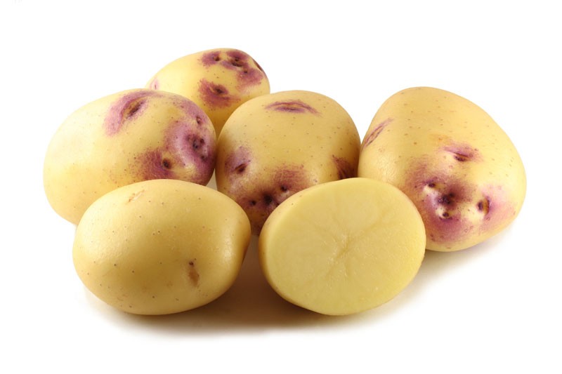 Kestrel Seed Potatoes - Image 2