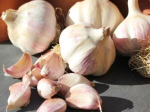 Kingsland Wight® Garlic Bulbs | Hardneck