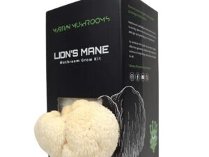 Lion’s Mane Mushroom Grow Block