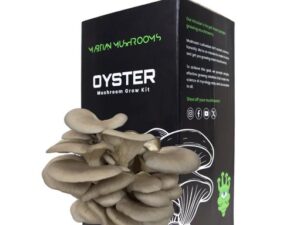 Blue Oyster Mushroom Grow Block