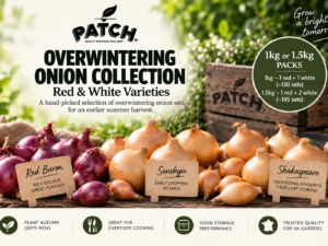 Overwintering Onion Collection – 1kg or 1.5kg