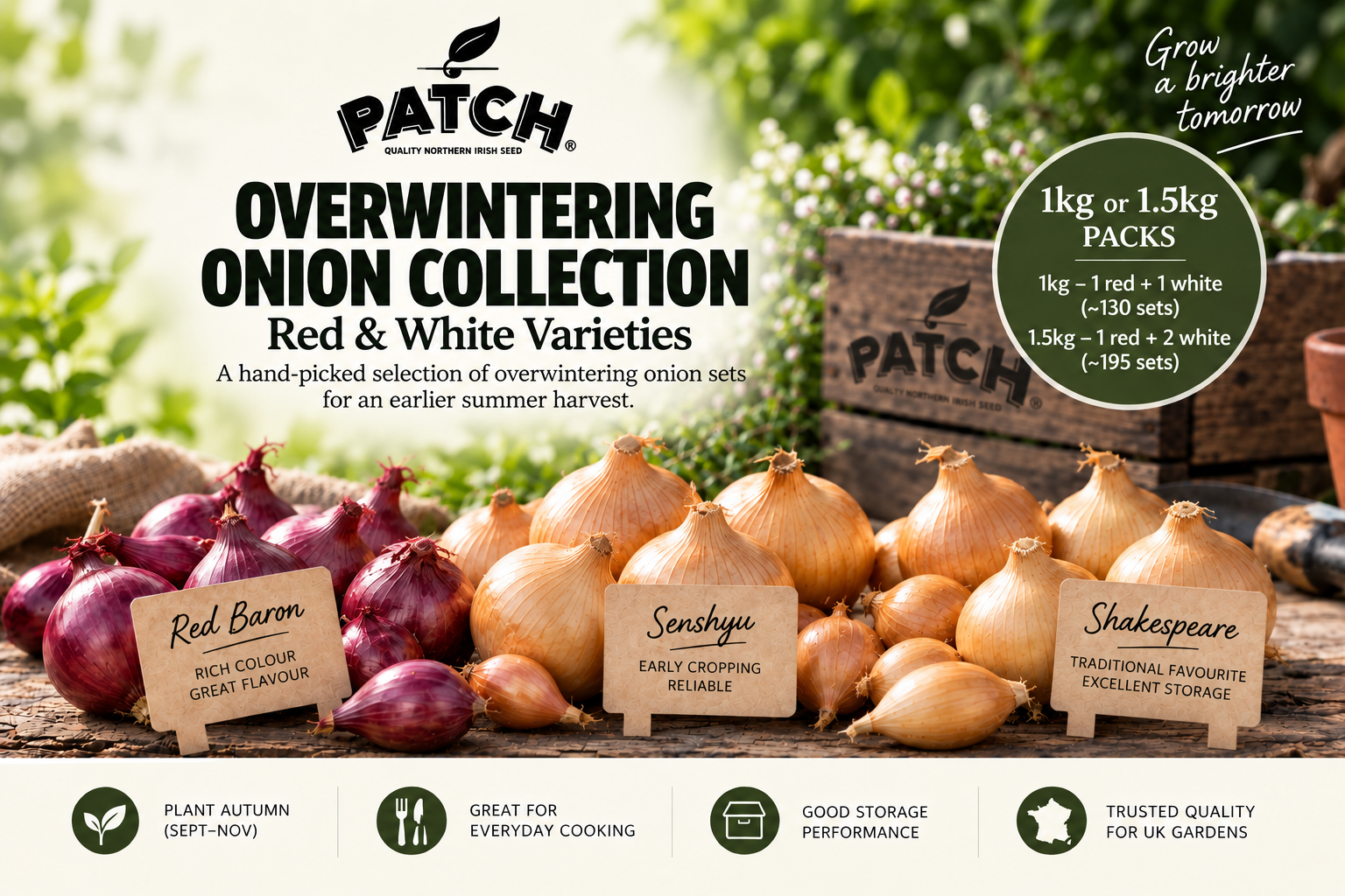 Overwintering Onion Collection – 1kg or 1.5kg