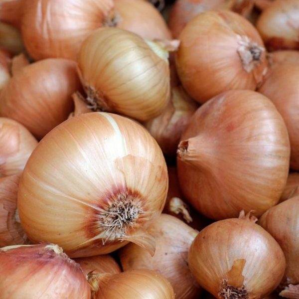 ONION