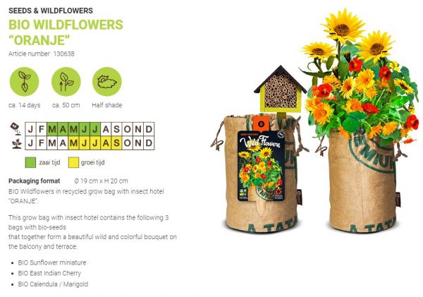 Organic wildflowers bee/insect hotel