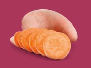 Orleans - Sweet Potato Plugs x 6 Pack