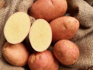 Pink Duke of York Seed Potatoes