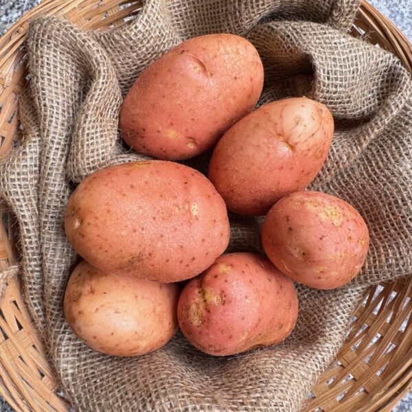 Pink Duke of York Seed Potatoes - Image 2