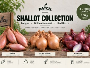 Shallot Collection – Longor, Golden Gourmet & Red Biztro – 3 x 500g