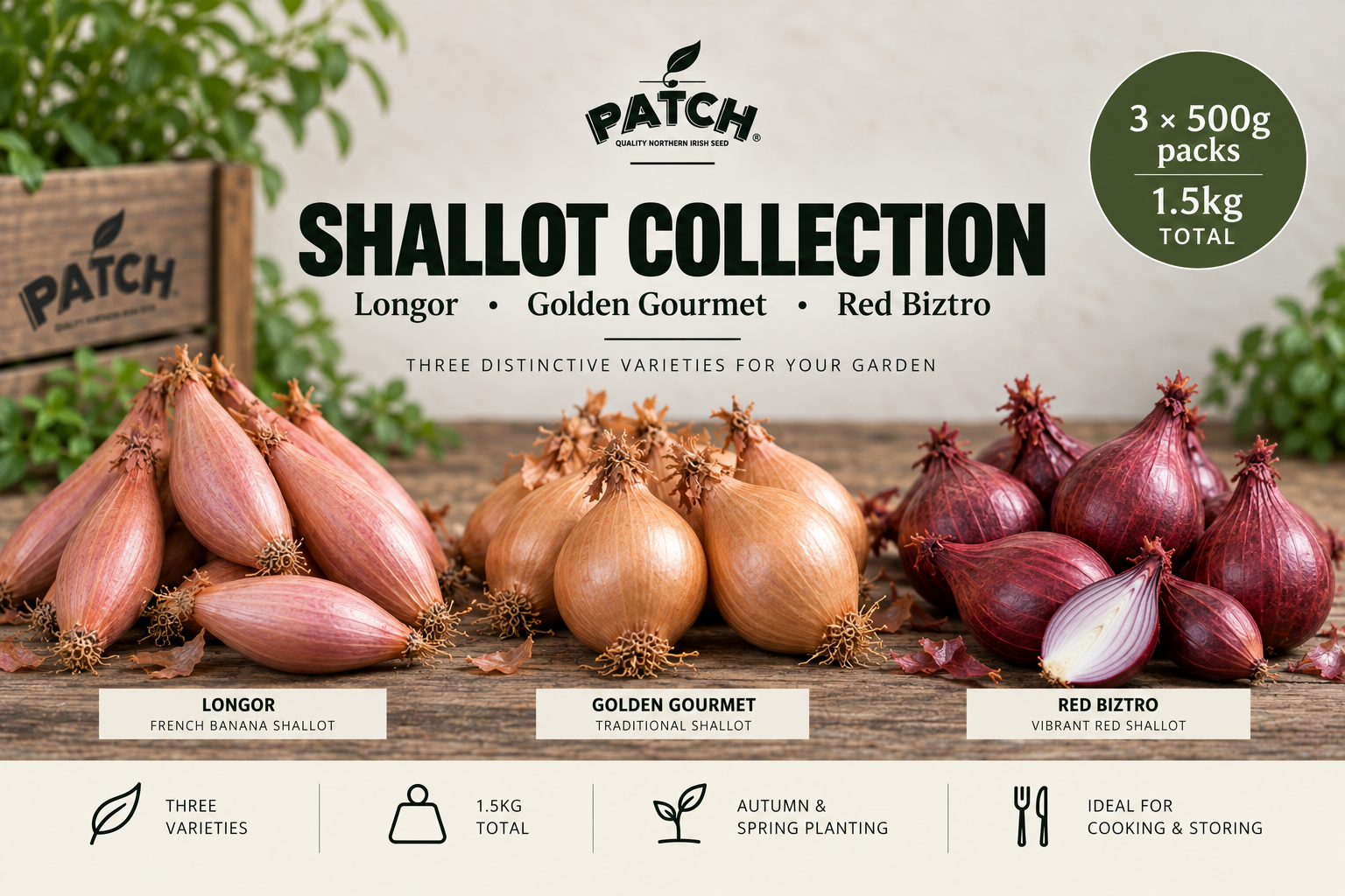 Shallot Collection – Longor, Golden Gourmet & Red Biztro – 3 x 500g