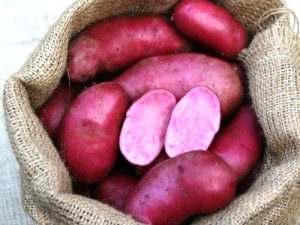 5kg Red Emmalie, Ready to Eat! Handpicked at Ballymakenny Farm