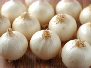 SNOWBALL Onion Sets - 500g Pack. (60-70 Bulbs) Premium White Onion Sets for Autumn & Overwinter Planting. EXTRA LARGE SETS 21/24mm