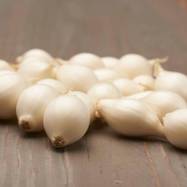 SNOWBALL Onion Sets - 500g Pack. (60-70 Bulbs) Premium White Onion Sets for Autumn & Overwinter Planting. EXTRA LARGE SETS 21/24mm - Image 3