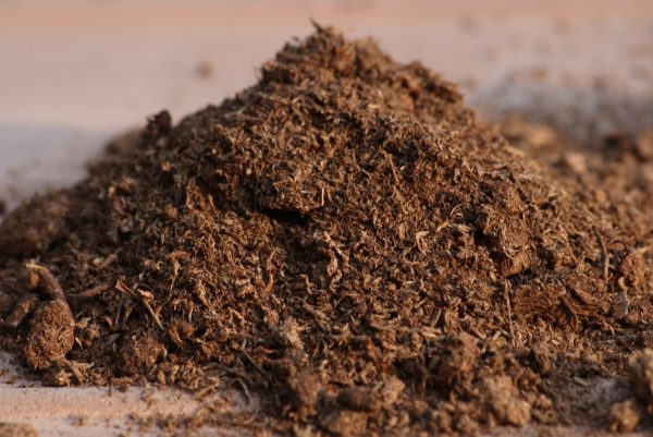 Irish Moss Peat | 5L 10L 20L 50L 100L | 100% Natural Organic Soil Improver | Compost Mulch Acidic Plant Soil Conditioner | Sustainable Sourced Peat Moss for Gardening & Growing - Image 3