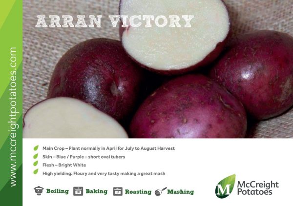 ARRAN VICTORY