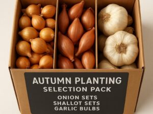 Autumn Planting Onion, Shallot & Garlic Selection Pack