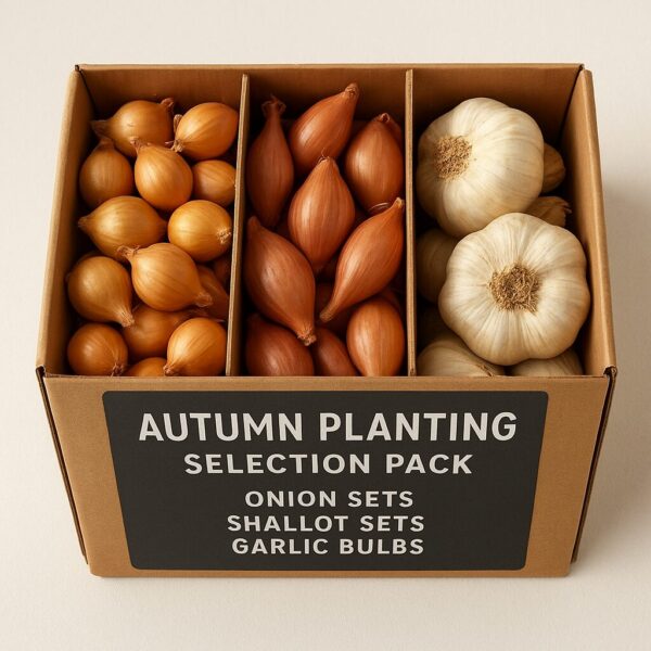 Autumn Planting Onion, Shallot & Garlic Selection Pack