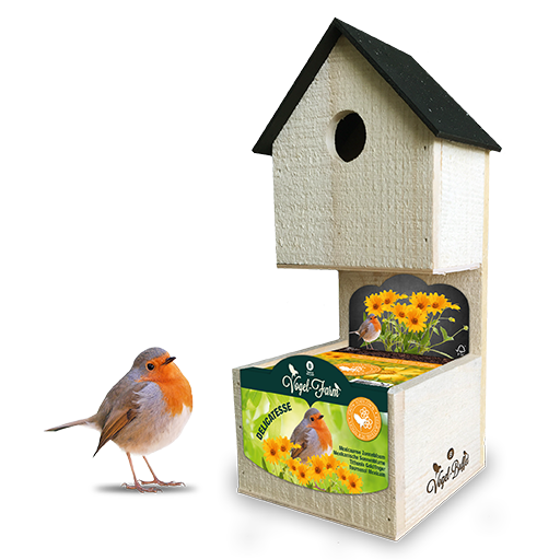 Bird Farm with Flower Seeds, mini garden! - Patch