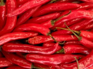 Chilli Pepper: Westlandse Lange Rode Organic Seed
