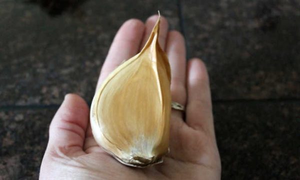 ELEPHANT Garlic - 3, 6 or 10 Clove Packs - Image 4