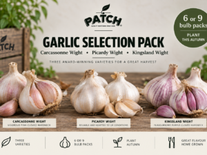 Garlic Selection Pack – Carcassonne, Picardy & Kingsland Wight | 6 or 9 Bulbs