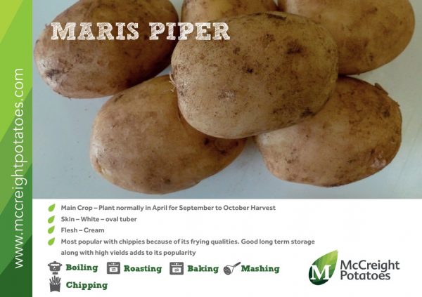 MARIS PIPER