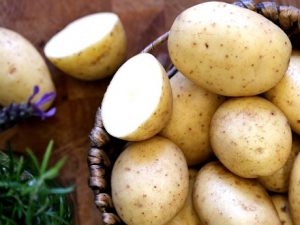 maris piper