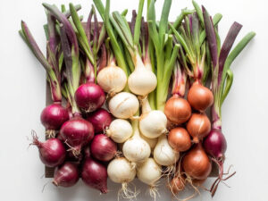 Onion Sets Winter Selection Packs 1000g and 1500g