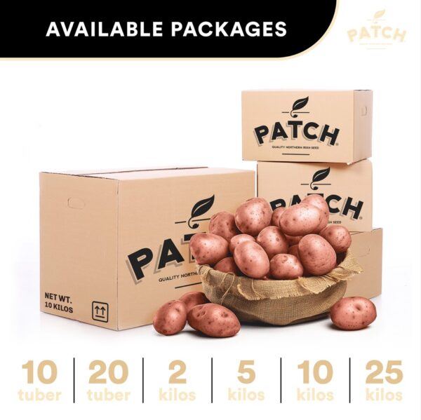 pack sizes