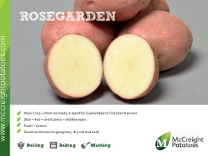 ROSEGARDEN