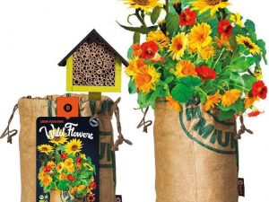 Organic wildflowers bee/insect hotel