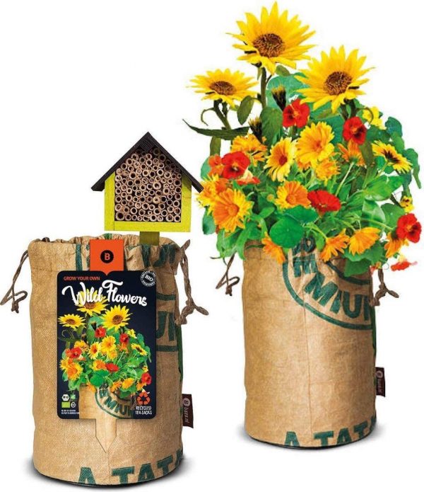 Organic wildflowers bee/insect hotel