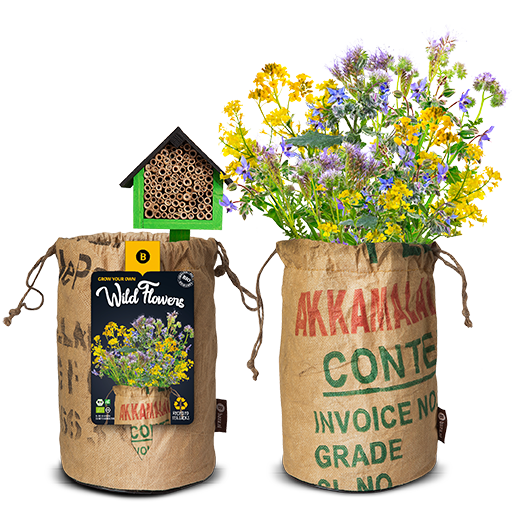 Organic wildflowers bee/insect hotel